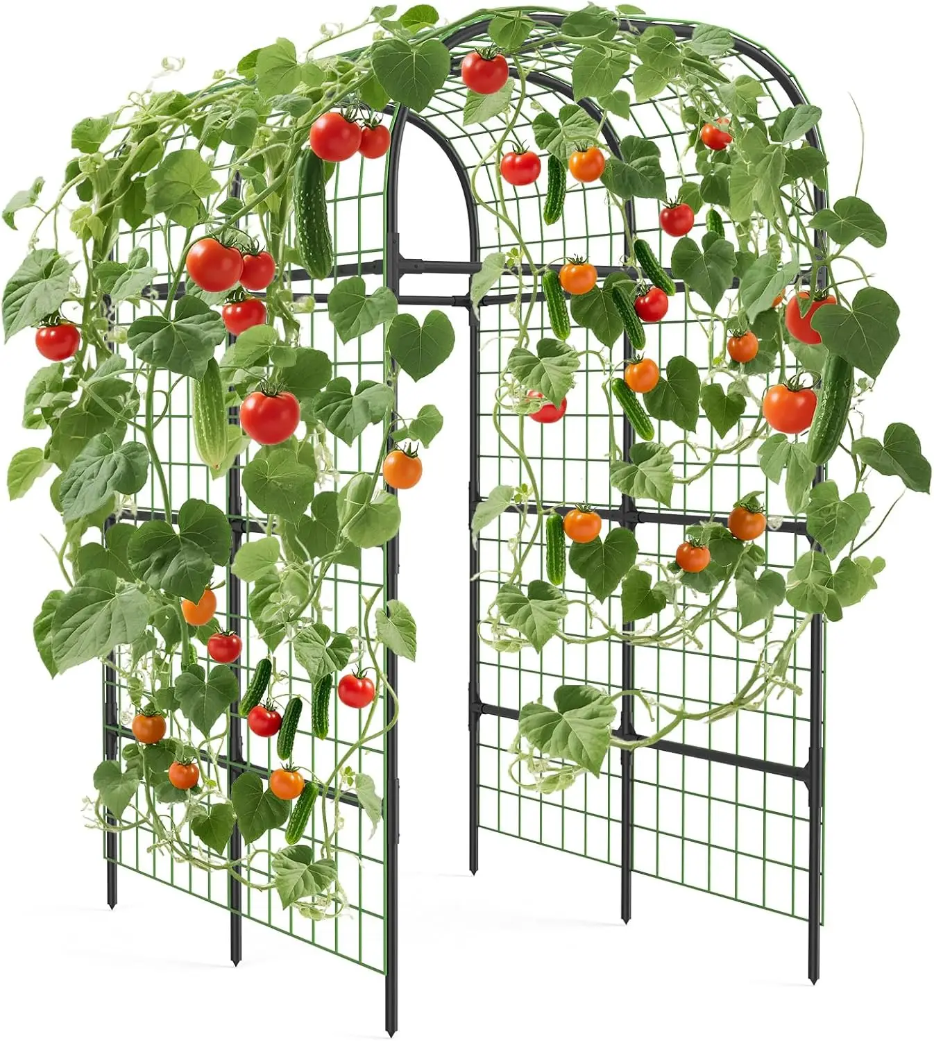 Tacleekii 7.3Ft Metal Garden Arch Trellis, Heavy-Duty Rust-Resistant Garden Trellis for Cucumber & Melon, Easy Assembly Outdoor Trellis for Large Vining Vegetables
