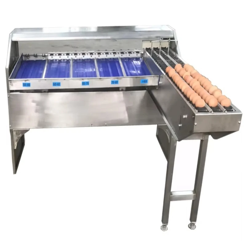 Customized Grading Standards High Quality Egg Sorter Sizer Classifier Duck Egg Weight Grader Machine Goose Egg Sorting Machine
