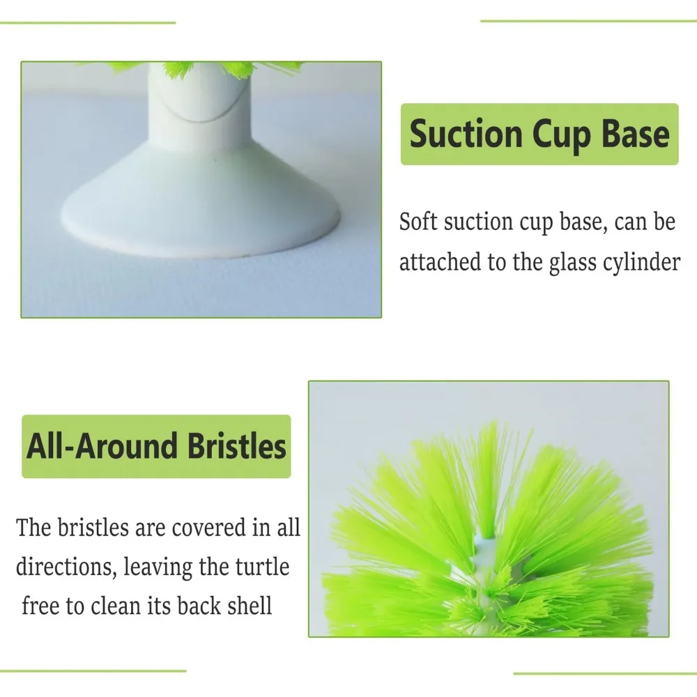 Turtle Shell Cleaning Brush 5