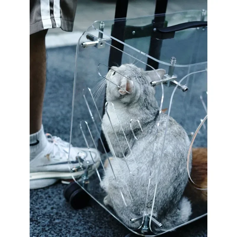 New Arrival Transparent Cat Carrier Large Capacity Pet Luggage Bag with Wheels