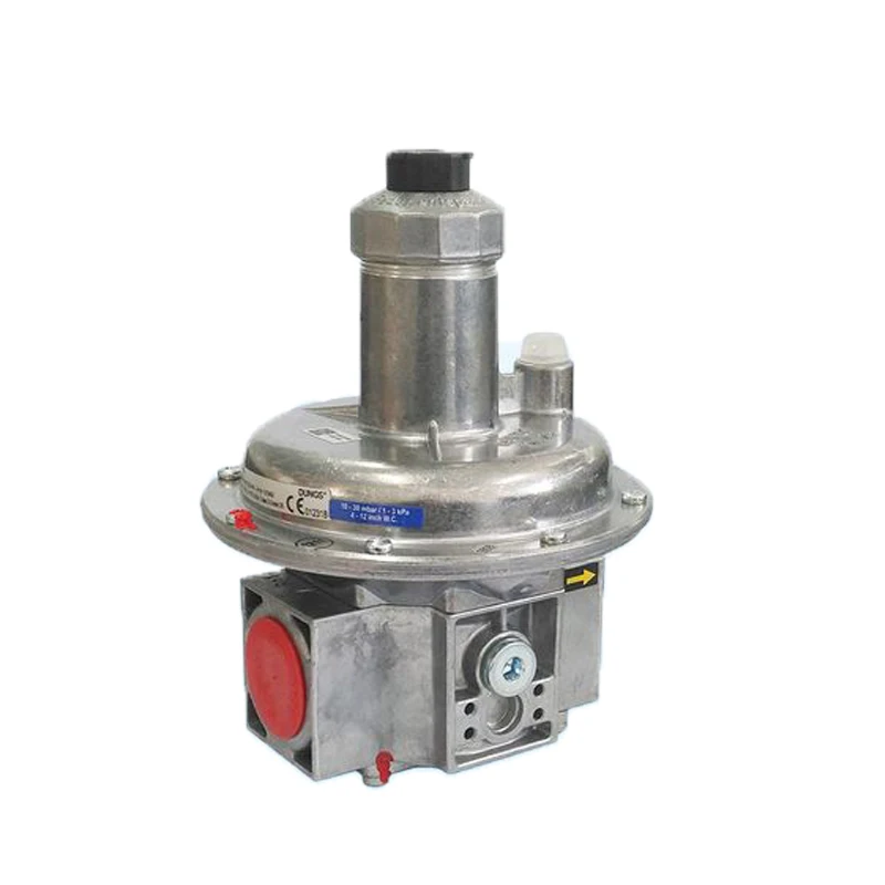 Gas Regulator Dungs Pressure Reducing Valves FRNG 520 Gas Relief Valve Monitoring Systeam For Industrial