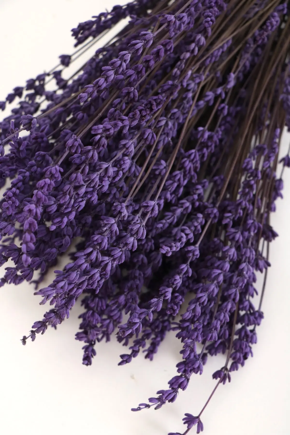 Quick-frozen Spill Proof Real Lavender Bundle Purple (100g)