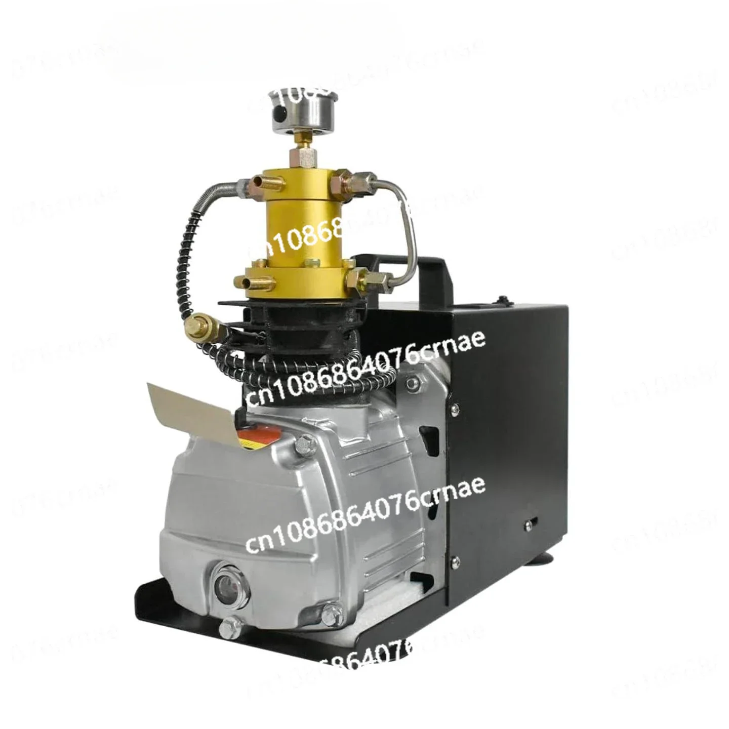 Compressore d'aria Compressore elettrico ad alta pressione Riempimento serbatoio per immersioni subacquee 220V/110V