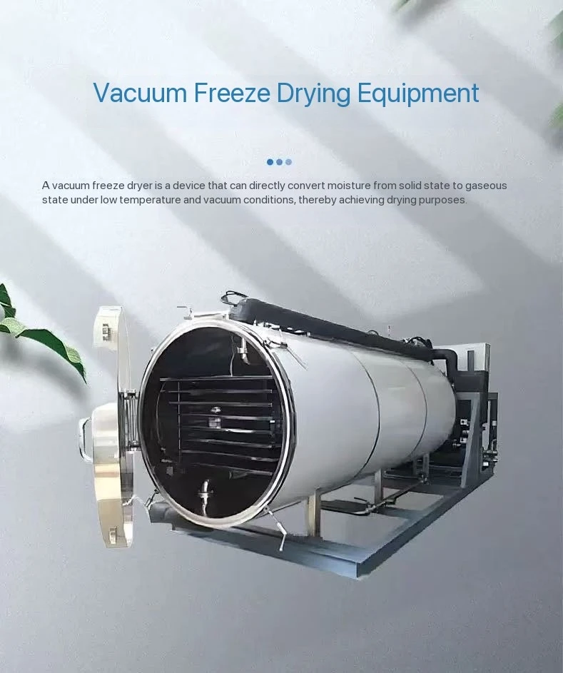 Carrot/Corn Vacuum Lyophilizer - Low-Temp Preservation for Vegetable Products