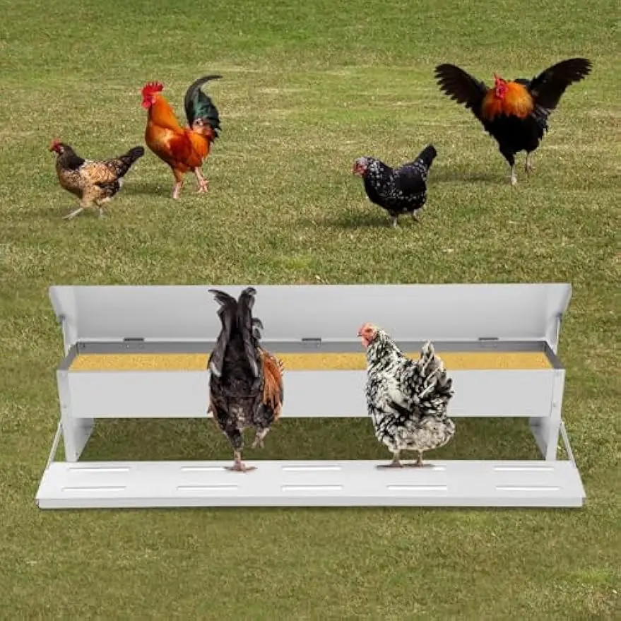 

NEWEST 22lbs Automatic Chicken Feeder Automatic Galvanized Chicken Feeder w/Weatherproof Lid Large Poultry Feeders Treadle