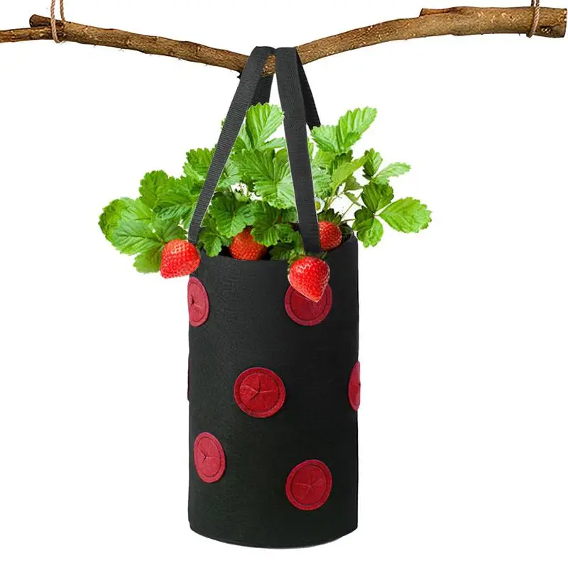 

Planting Bags Fabric Grow Pot Gallon Felt Grow Bags Planting Growing Bag DIY Folding Plants Container For Tomatoes Potatoes Taro