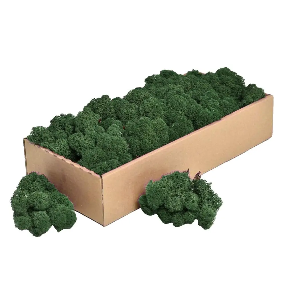 lining-craft-flower-dried-moss-for-moss-wreaths-floral-tributes-and-arts-and-crafts-model-making