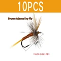 10pcs Brown