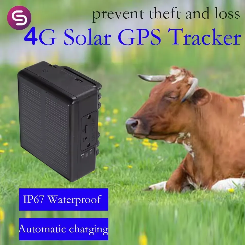جهاز تتبع GPS بالطاقة الشمسية RF-V24 4G 4000mAh WIFI الحيوان الماشية البقرة الأغنام الحصان الجمل جهاز تعقب الكلاب الشخصية الحيوانات الأليفة الذكية جي بي آر إس محدد
