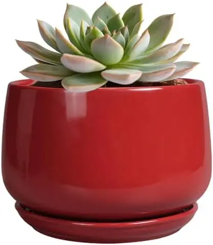 

6 Inch Ceramic Plant Pot with Drainage, Red Planter for Home Decor, Housewarming Gift