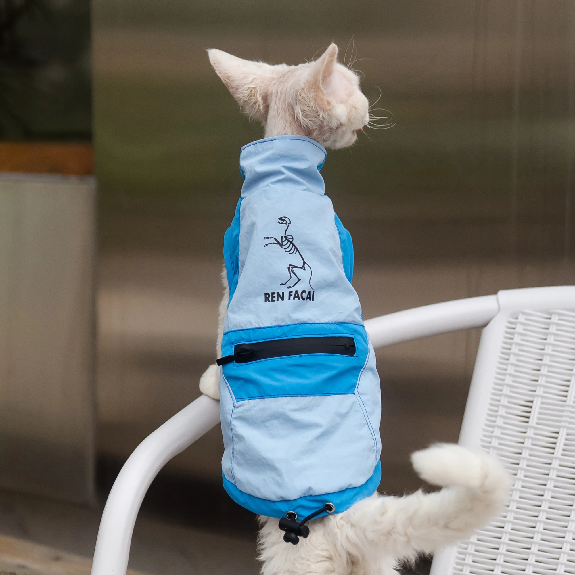 Fashion Outdoor Blue Jacket for Sphynx Cat 2 Legged Grey Short Sleeves for Devon Waterproof Coat for Kittens interchange Jacket