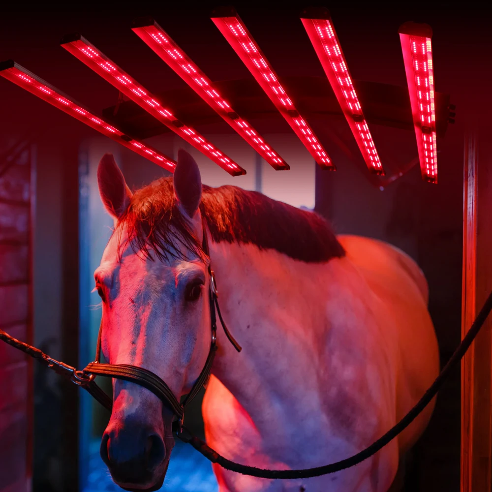 Redfy Barn utiliza luz de terapia Led equina dispositivo de solario infrarrojo tratamiento de cuerpo completo terapia de luz roja infrarroja dispositivo de caballo