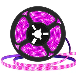 1M/2M/3M LED Plant Grow Light Full Spectrum USB Strip 60 Lamp Beads/M Greenhouse PhytoLamp For Plants Hydroponic Growing System