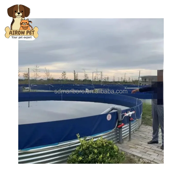 AIROW SDM Farming Tilapia Farming Bass Farming South American Shrimp Used in a Round Aquaculture tank