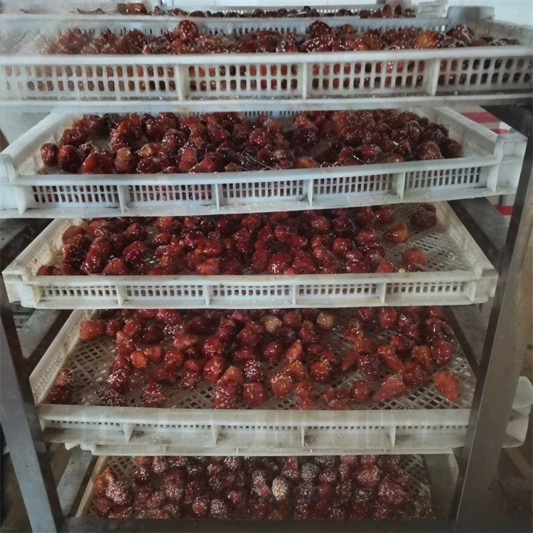 Automatic freeze-dried strawberry sugar machine, sugar hanging machine, freeze-dried fruit sugar wrapping machine