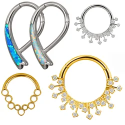 ASTM F136 Titanium EAR PIERC Fan-shaped CZ Ring Hoop Nose Rings Hinged Clicker Earring Labret Tragus Ring Trendy Body Piercing