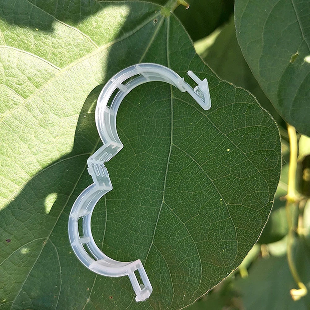 Plant Support Plant Climbing Wall Fixture Clips Rattan Clamp Fixator Self-Adhesive Vine Buckle Hook Invisible Vine Binding Clip