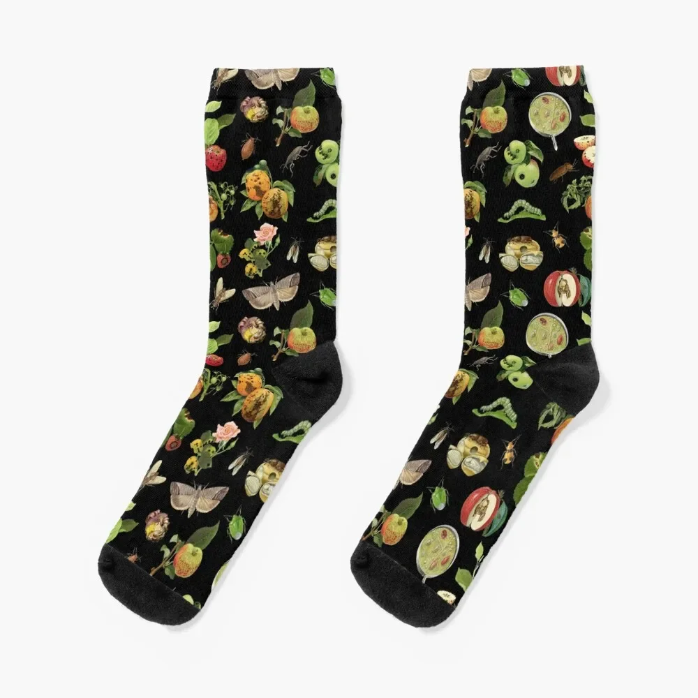 

Insect Pests and Plant Diseases by Margaret Senior and Emil Zeck pattern (BLACK) Socks Stockings compression Socks Man Women's