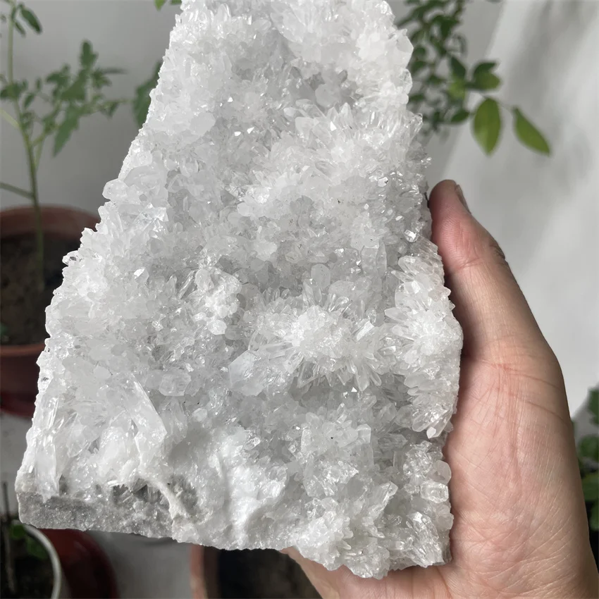 1460g Natural  Crystal Quartz Crystal Cluster Quartz Stone Healing Free shipping