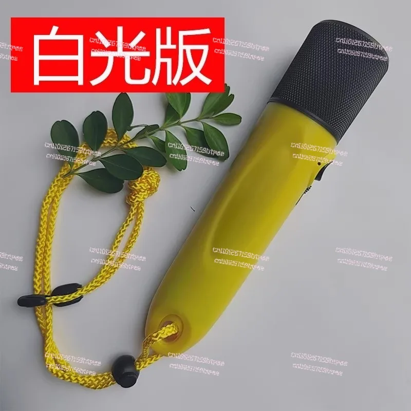 Professional Diving Light 1600 Lumen 10400mAh AC Rechargeable Flashlight LED IP68 Waterproof Torch,7 Hours Working Time