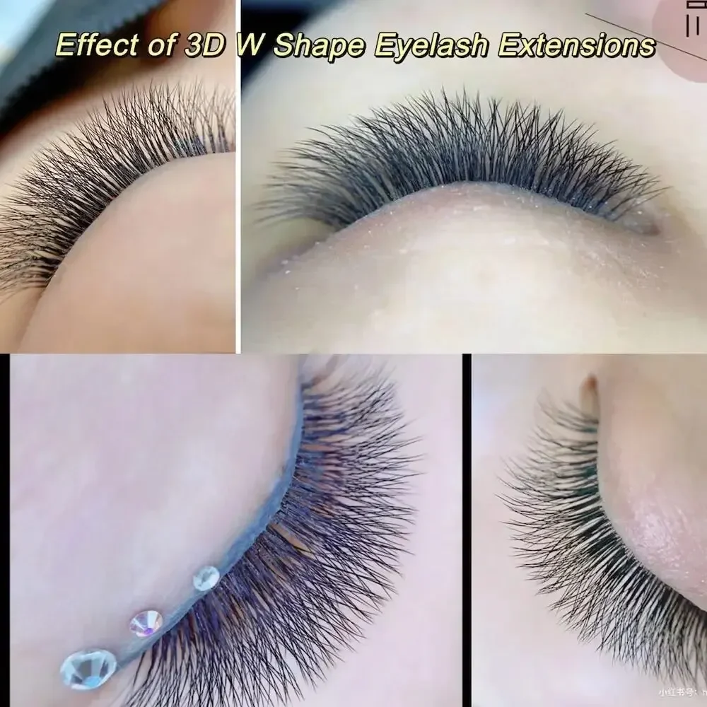 Mink Lashes 10 Cases W Shape Bloom 3D 4D 5D 6D Premade Fans Eyelash Extensions Natural Soft Light Full Dense NAGARAKU