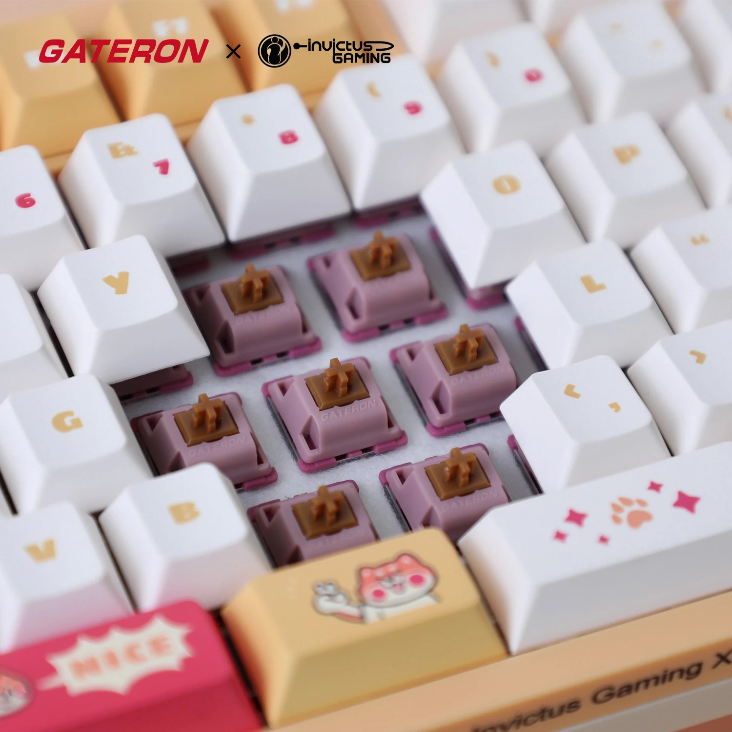 GATERON IG 98 Tastiera meccanica personalizzata co-branded