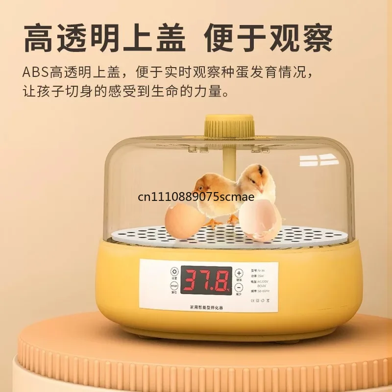 

Small Household Intelligent Automatic Egg Incubator Water Bed For Chicken Rutin Chicken Parrot