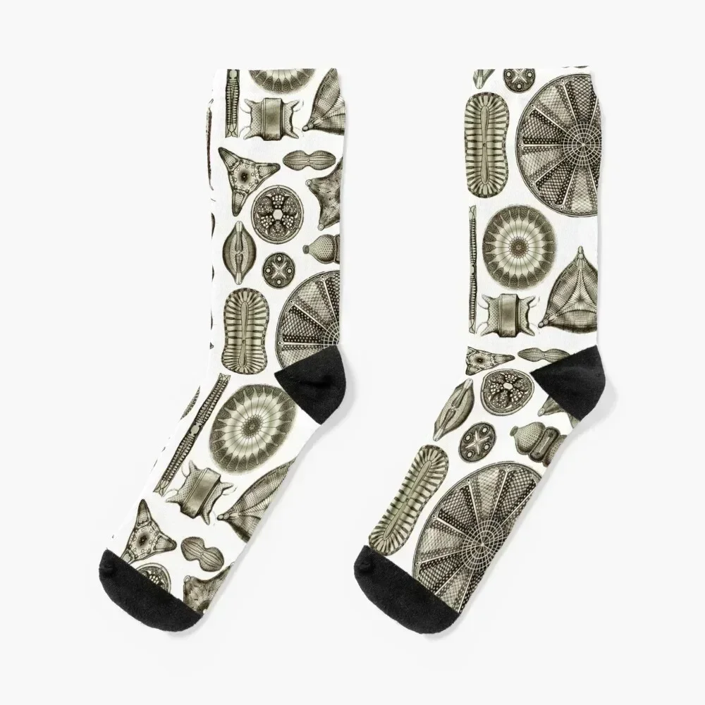 

Ernst Haeckel Diatoms Vintage Brown Socks happy valentine gift ideas Climbing christmass gift Socks For Girls Men's