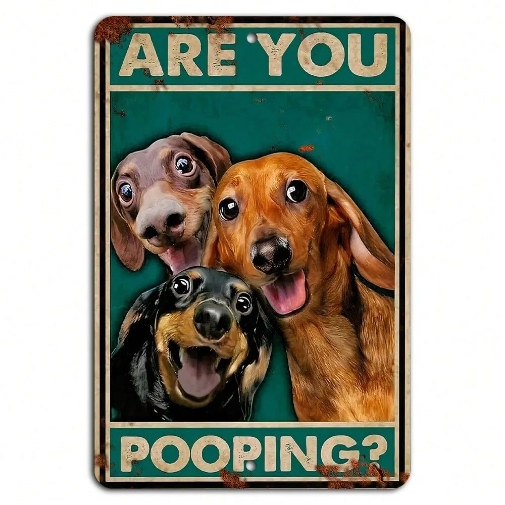 Lustiges rustikales Metallschild „Are You Pooping“ für Hunde, 20,3 x 30,5 cm – humorvolle Badezimmer-Wanddekoration, hell herzförmige Toilettendekoration