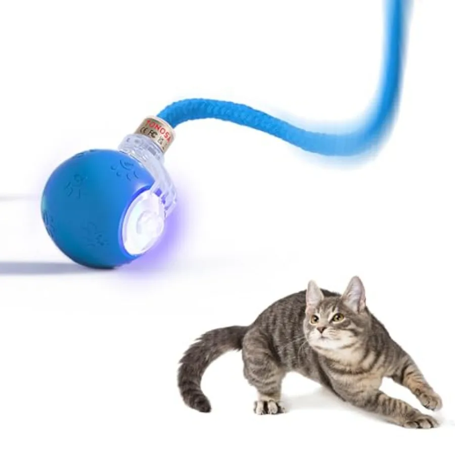 Interactive Cat Bal…