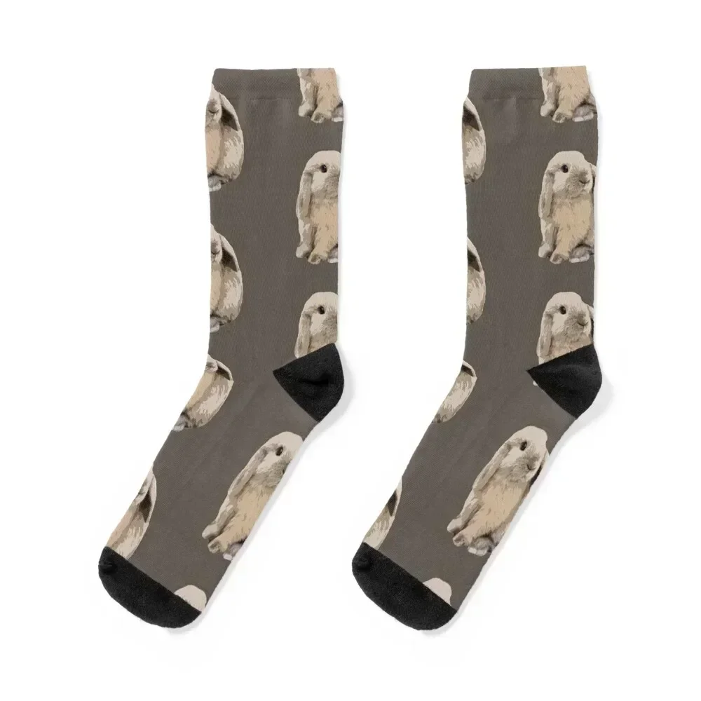 

Cute Holland Lop Rabbit Mom Lop Bunny Dad of a Lop Eared Bunny Socks hip hop Children's compression Ladies Socks Men's