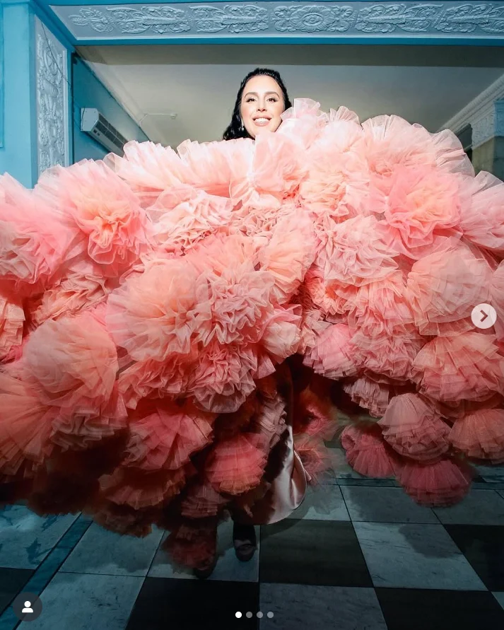 فستان تول زهري شفاف أومبير وردي بأكمام طويلة فساتين اضافية منتفخة الطبقات فستان حمل تول لالتقاط الصور