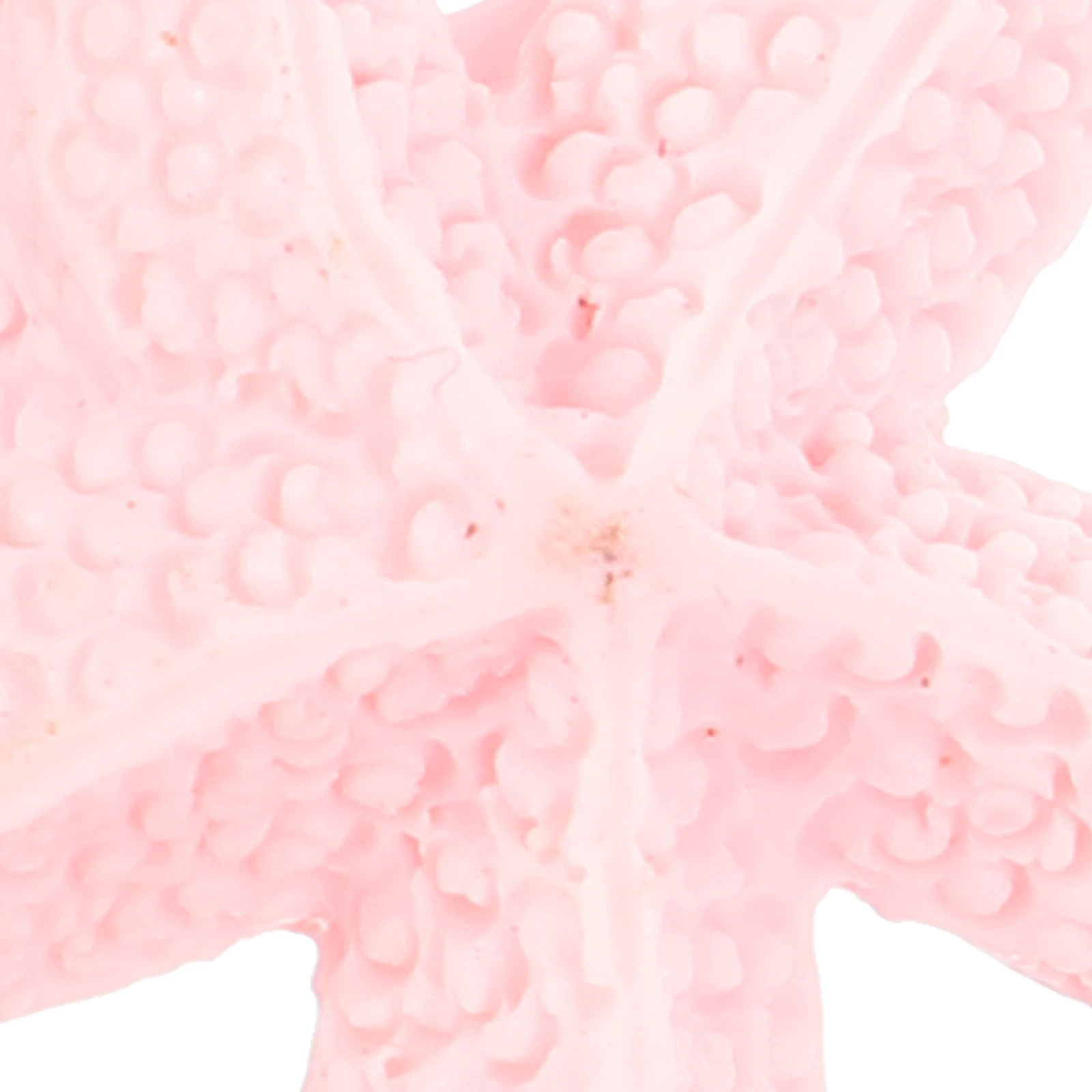 

Mini Beach Style Ornament Moss Micro Landscape Potted Plants Outdoor Ornaments Decor Decorate Child