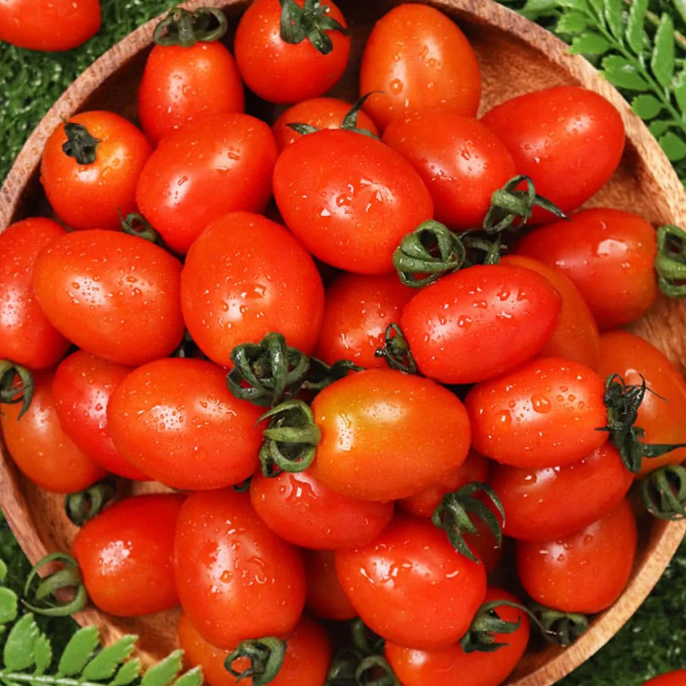 سويت ماكس ستيفيا طماطم كرزية 500 جرام 2 عبوة