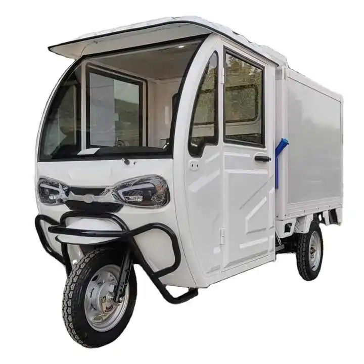 Electric Tricycle Freezer Motor 60V 1000W Fully Closed Cabin for Fresh-Keeping Cold Chain Transportation Ice Cream