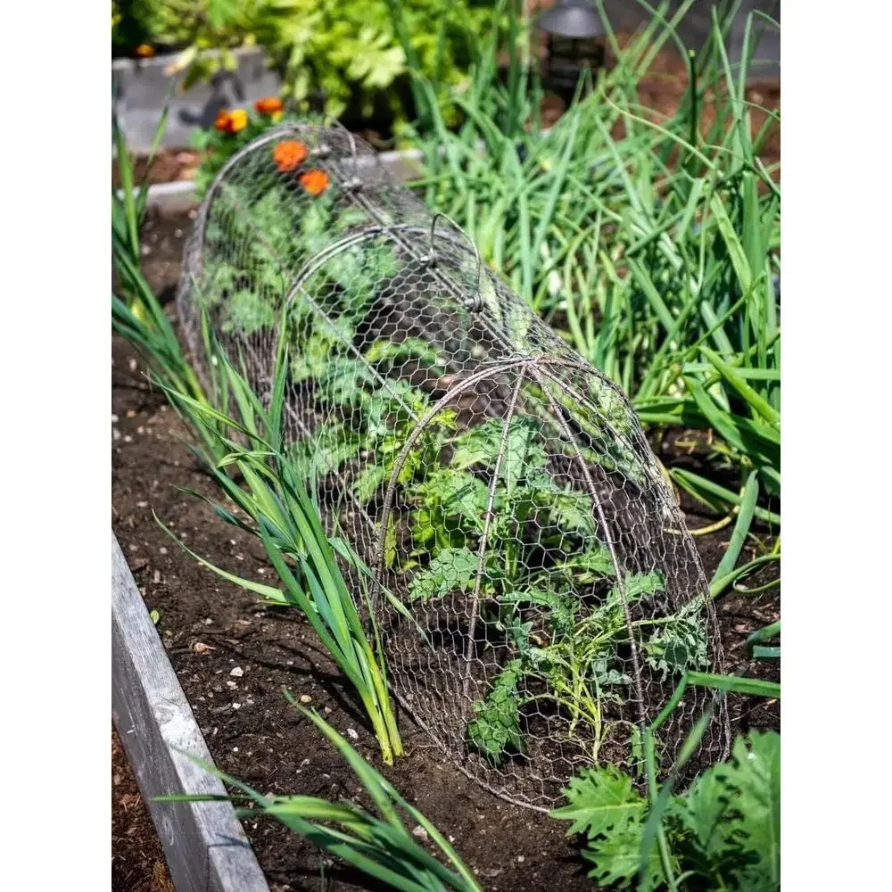 Chicken Wire Arch Cover for Garden Plants - Extra Large Metal Tunnel Cage Set Protecting from Wildlife