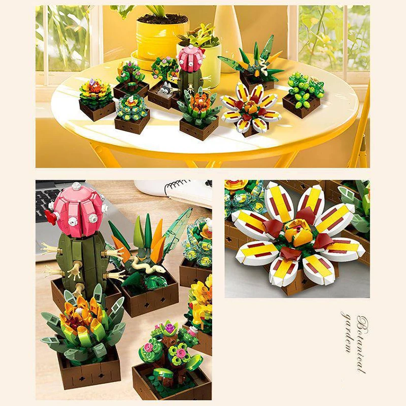 Plantes succulentes créatives  - Board Game Jumanji avis et prix