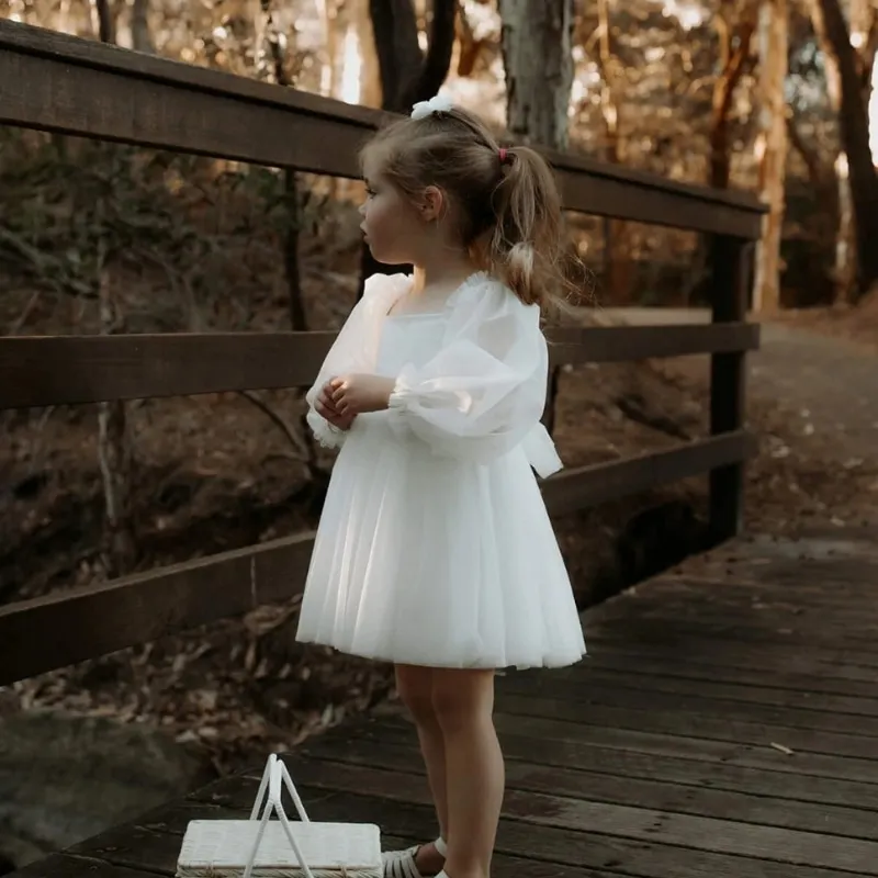 Baby Girl Princess Mesh Tutu Dress White Infant Toddler Child Long Sleeve Tulle Vestido Wedding Birthday Party Baby Clothes 2-6Y