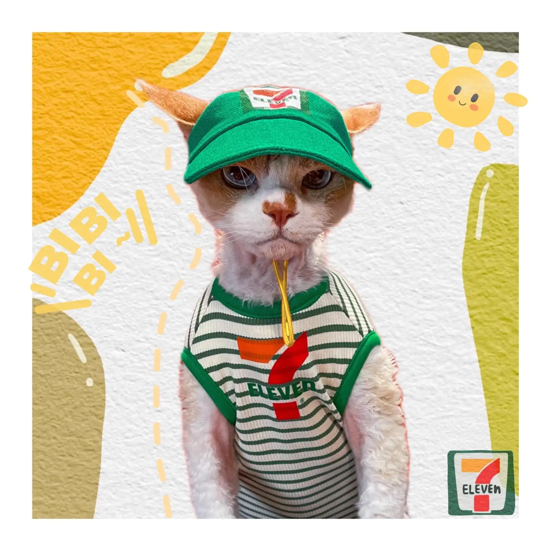 �y�Z�[�����z�ėp�L�m�[�X���[�u�x�X�g�A�X�q�Z�b�g�A���єL�f�{���L���b�g�G�A�R���X�[�c�A�傫��7�����v�����g�t���y�b�g���A�K���Ă��܂�