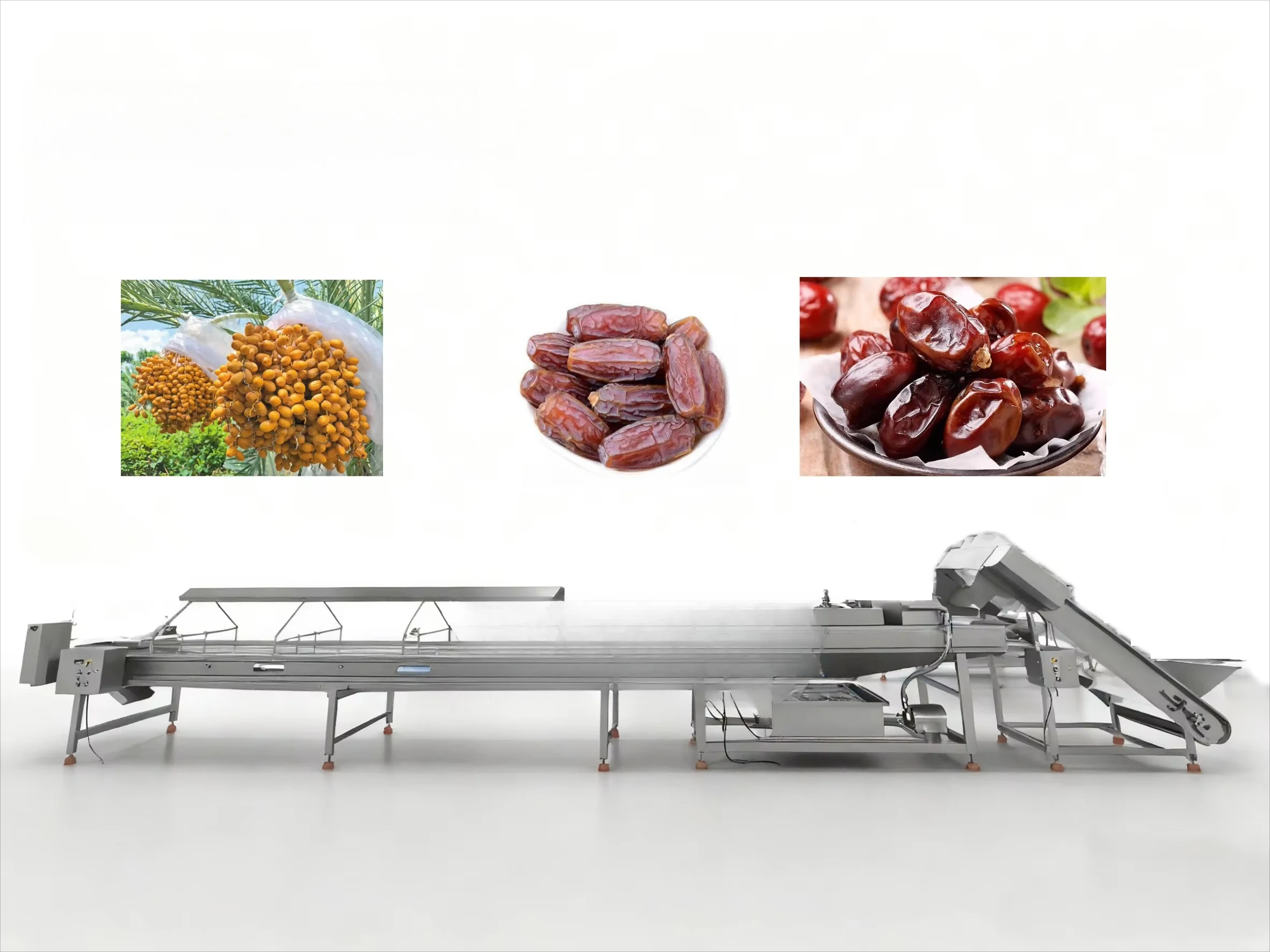 Fully Automated Frozen Dates&Fruits Processing Grading and Packing Machine Orange Fruit Sorting Line