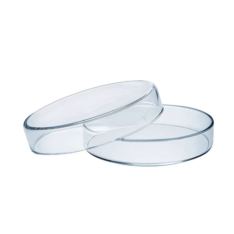10 قطعة طبق بتري الزجاج سميكة خلية ثقافة البكتيريا طبق ارتفاع درجة الحرارة مقاومة لوحة بيولوجية سفينة تجريبية