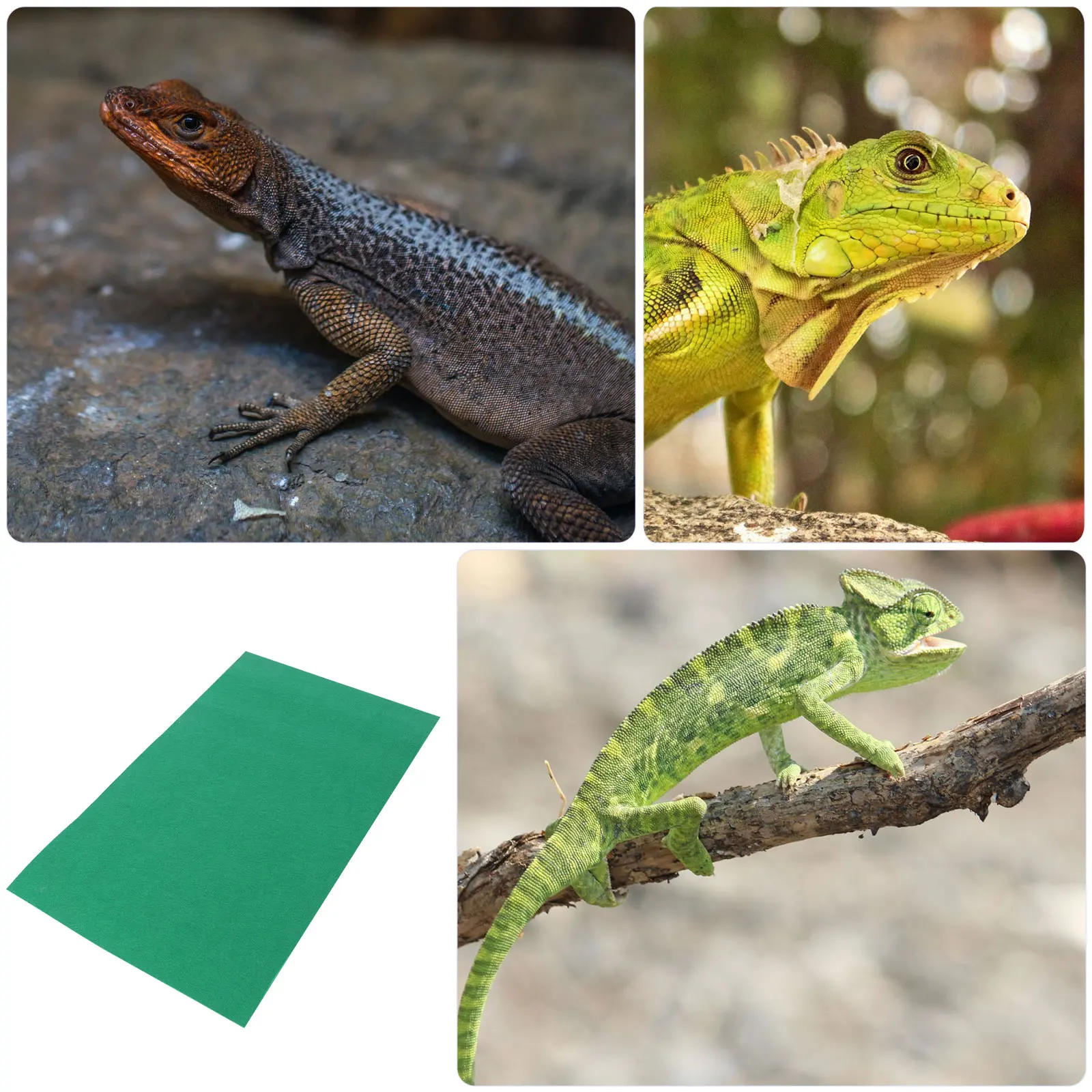 

Animal Lizard Carpet Rugs Reptile Leopard Gecko Terrarium Bedding Substrate Mat
