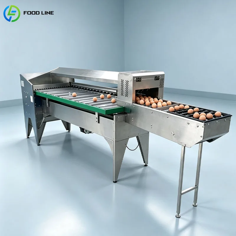 Commercial Egg Sorting Machine Automatic Grader Classifier For Fresh Egg Packing Business Customized