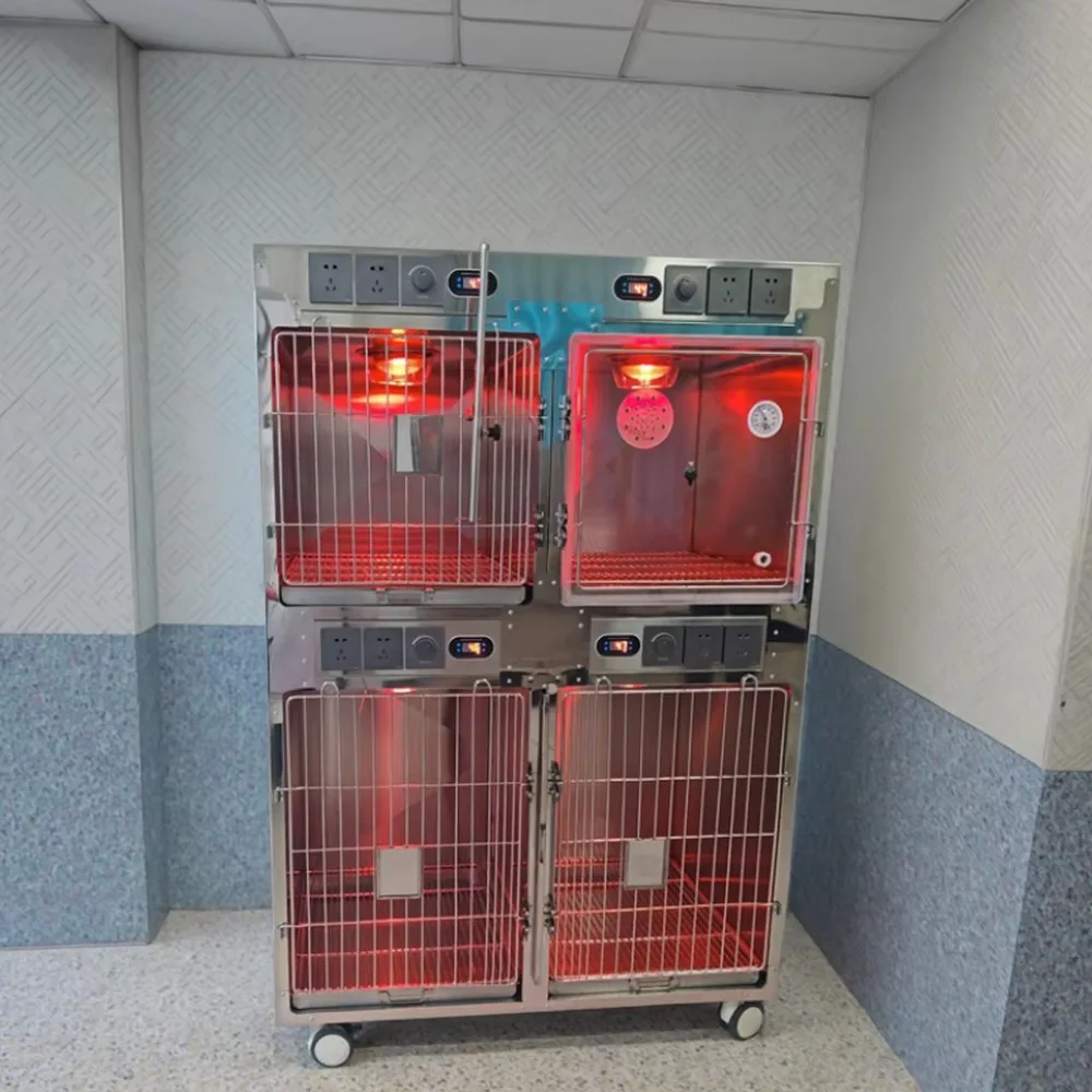 Stainless steel pet cage clinic providing medical care and boarding services