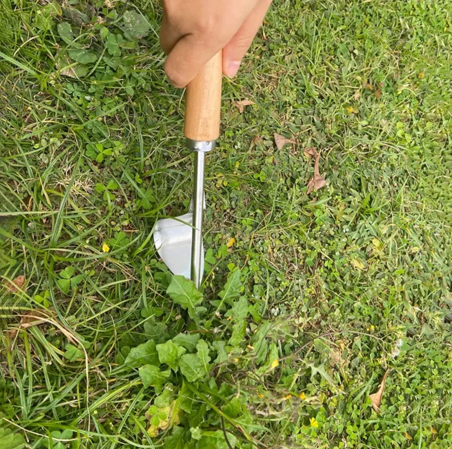 Wood Handle Garden Weeder Tool, Hand Tool for Weed Removal, Durable Herbicide-Free Weeds Remover & Gardening Accessory