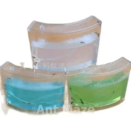 Large Ant Workshop Maze Home Birthday Gift The Ant Queen Castle Ant farm