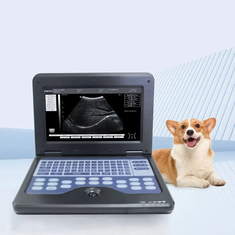 

Vet Veterinary Equipment Digital Notebook Ultrasound Scanner for Veterinary Animal Care and Supplies