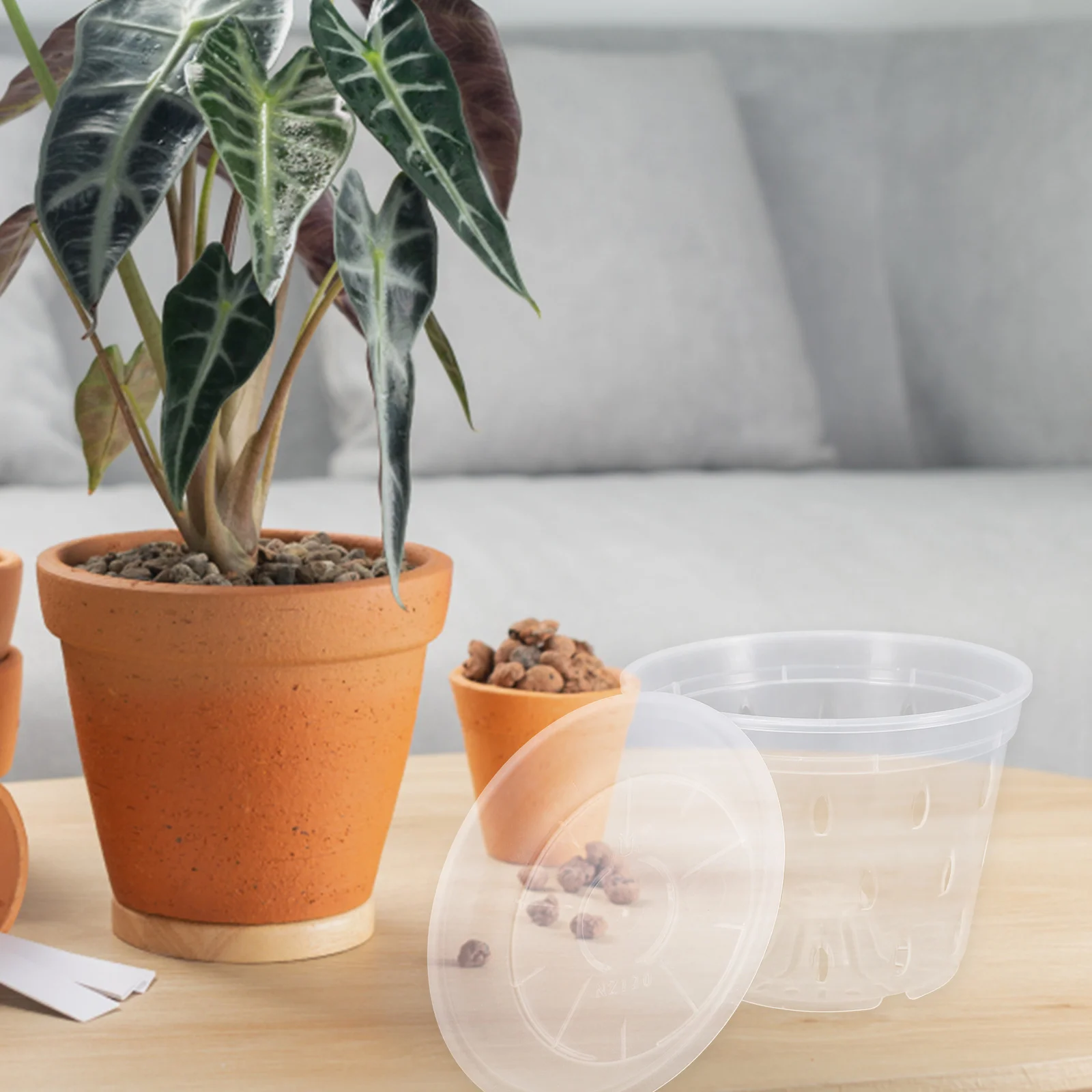 

5PCS Clear chid Pots Root Control Basin Plastic Garden Drainage Holes Indoor Balcony Courtyard Park Greenhouse