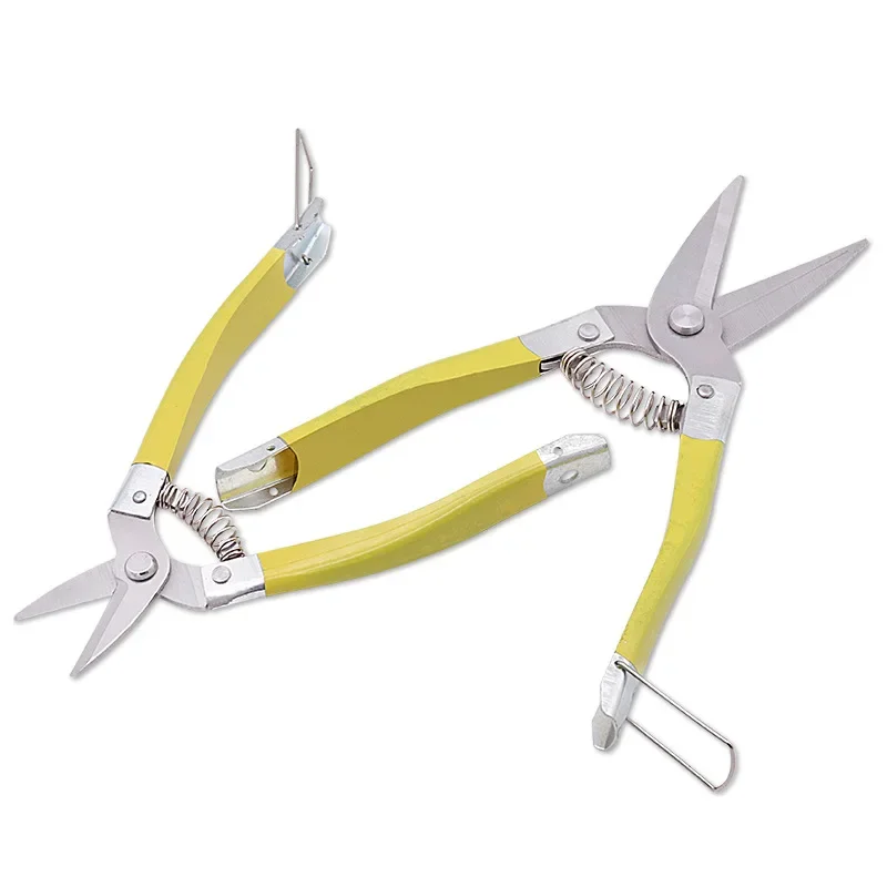 Sécateur de jardin en acier inoxydable avec poignée coordonnante, coupe-tuyau en PVC, ciseaux à branches de fruits bonsaï, plastique trempé, ménage