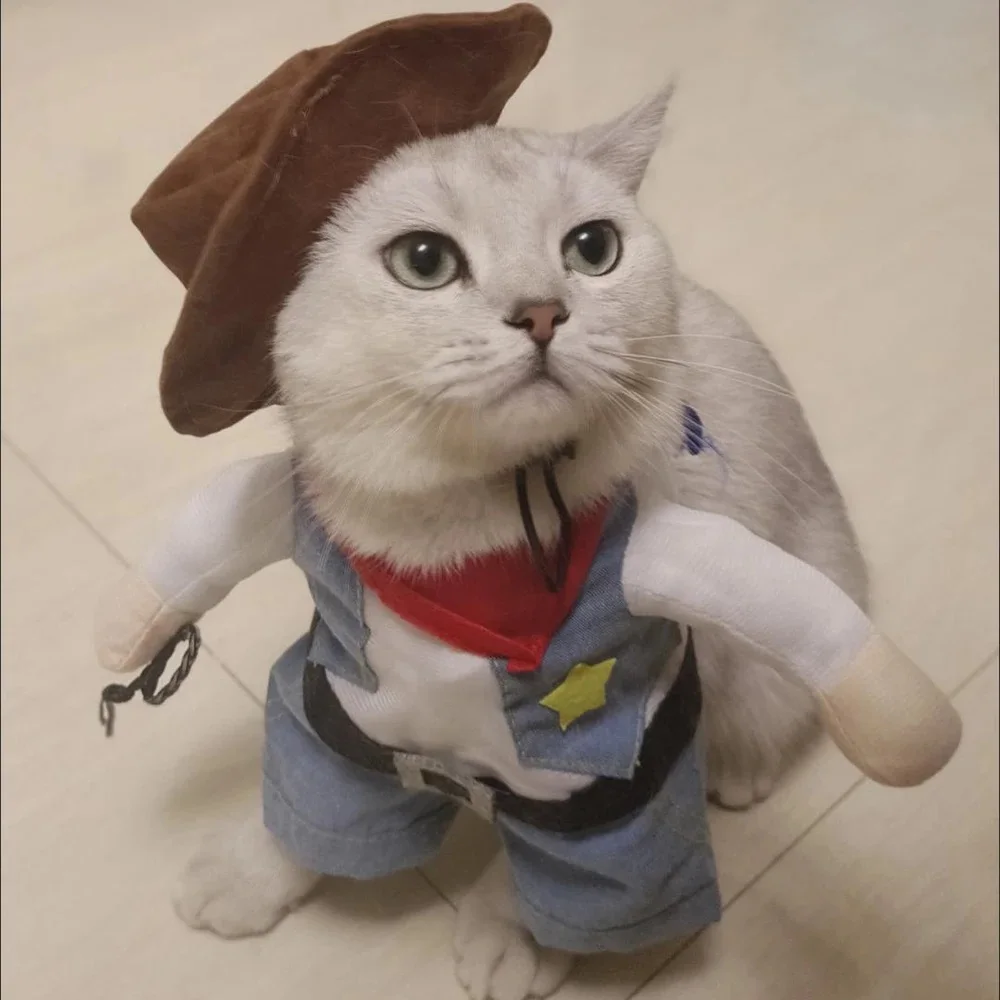 Costume da gatto vestiti divertenti Halloween Cosplay Cowboy Pet outfit per cani di piccola taglia gatti novità creativa Kitten Party Clothing